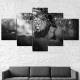 tableau lion coucher en noir et blanc