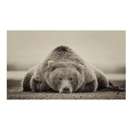 tableau photo d’un ours en noir et blanc