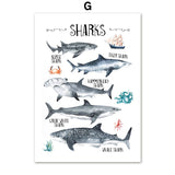 Watercolor Whale Shark Alphabet Nordic Posters And Prints 