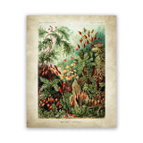 tableau abstrait de la jungle