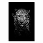 Cadre fond noir léopard magnifique