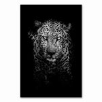 Cadre fond noir léopard de face