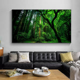 tableau photo grande foret