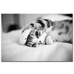tableau petit chien blanc fond noir