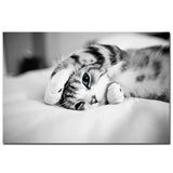 tableau petit chien blanc fond noir