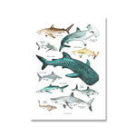 Child Poster Rays Octopus Whale Shark Marine Animal Nursery 