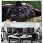 tableau lion calme