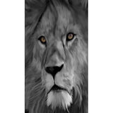 tableau nordique lion yeux verts
