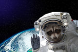 tableau d’un chat astronaute