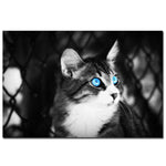 tableau petit chien blanc fond noir
