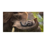 Cadre peinture câlin éléphant et bébé