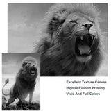 tableau photo lion majestueux noir et blanc