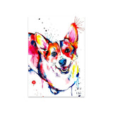 tableau saint Bernard coloré