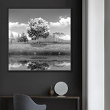 tableau arbre photo en noir et blanc