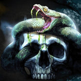 tableau crâne et grand serpent