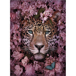 Affiche léopard et roses