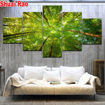 Tableau grands arbres vue du dessous