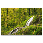 tableau rivière dans la jungle