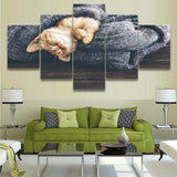 tableau chaton dans couverture