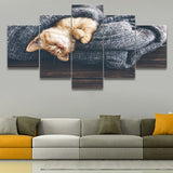 tableau chaton dans couverture