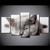 tableau chaton gris sur fond blanc