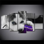 tableau husky balle violette