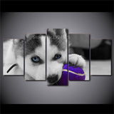 tableau husky balle violette