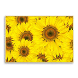 tableau champ de tournesol
