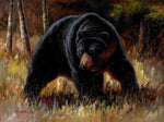 tableau d’un ours noir impressionnant