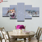 tableau photo husky noir