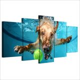 tableau chien dans un piscine