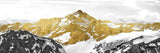 tableau fond blanc montagne en or