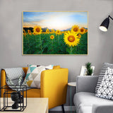 tableau champ de tournesol