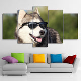 tableau d’un husky avec des lunettes