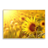tableau champ de tournesol
