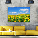 tableau champ de tournesol