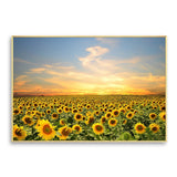 tableau champ de tournesol