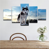 tableau photo husky noir