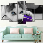 tableau husky balle violette