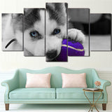 tableau husky balle violette