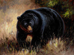 tableau d’un ours noir impressionnant