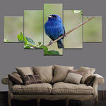 Tableau oiseau 5 pièces Oiseau bleu | La maison des tableaux