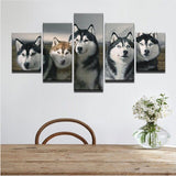 tableau photo husky noir