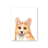 tableau dessin d’un Shiba