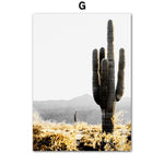 Cadre photo cactus