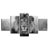 tableau photo lion en noir et blanc