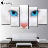 tableau chat blanc au yeux bleus