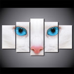 tableau chat blanc au yeux bleus