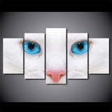 tableau chat blanc au yeux bleus