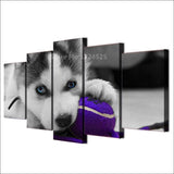 tableau husky balle violette